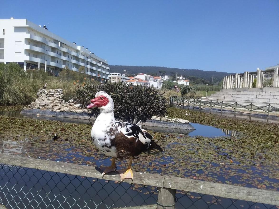 Atlantic Beach-Side Apartment Figueira da Foz Exterior foto